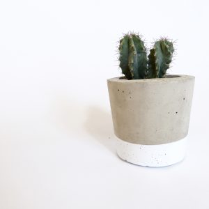 Concrete and white plant pot