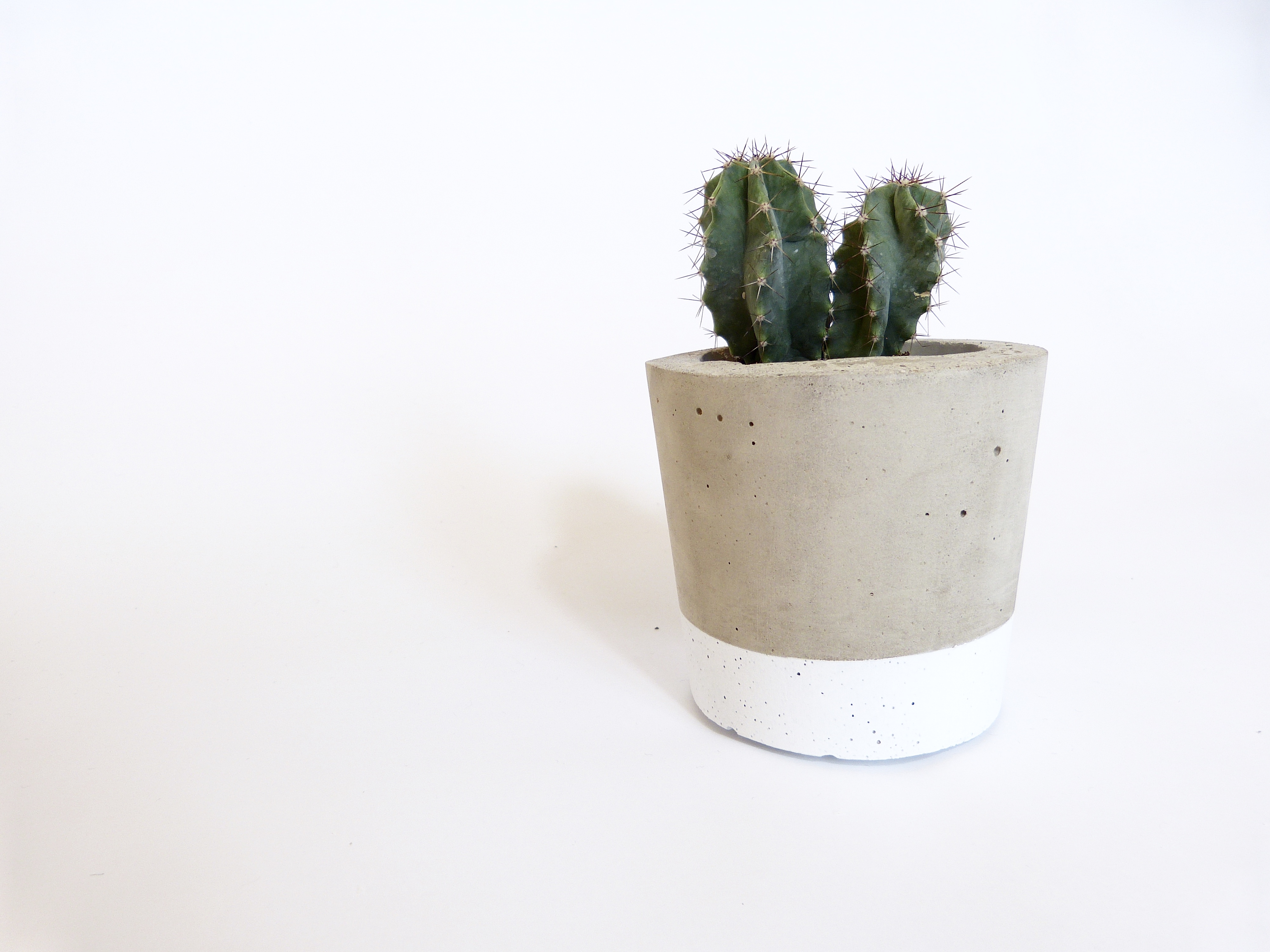 Concrete and white plant pot