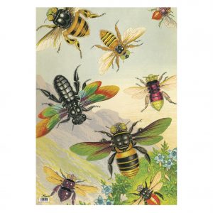 Rainbow Bugs Gift Wrap