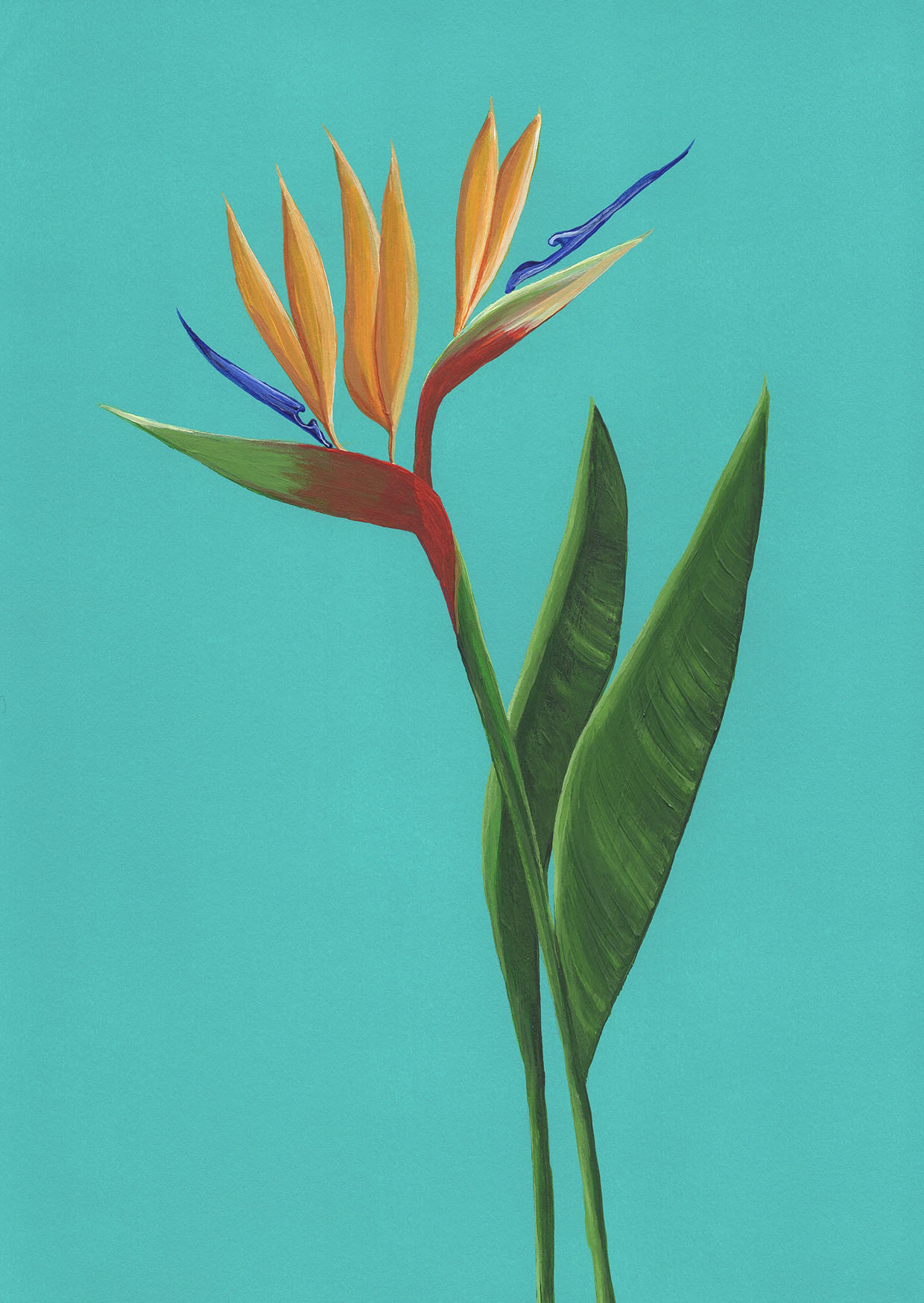 luxury greetings card