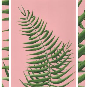 Double Palms on Pink a6 card