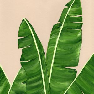 Greenhouse Banana print a3