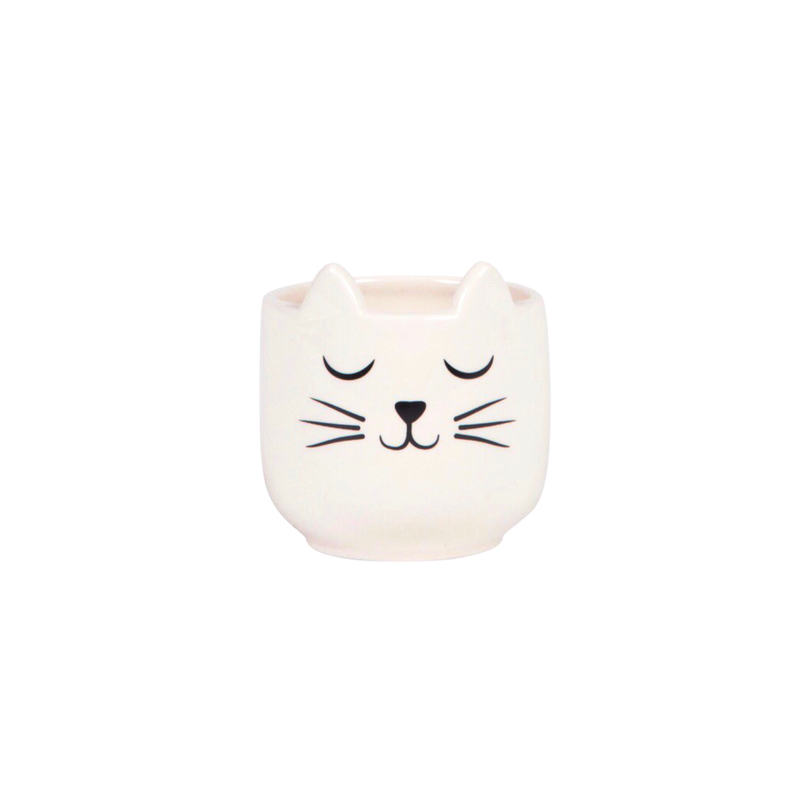 Cat Whiskers Mini Planter