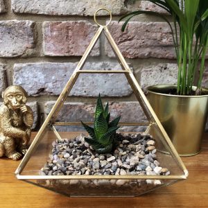 Brass Large Terrarium