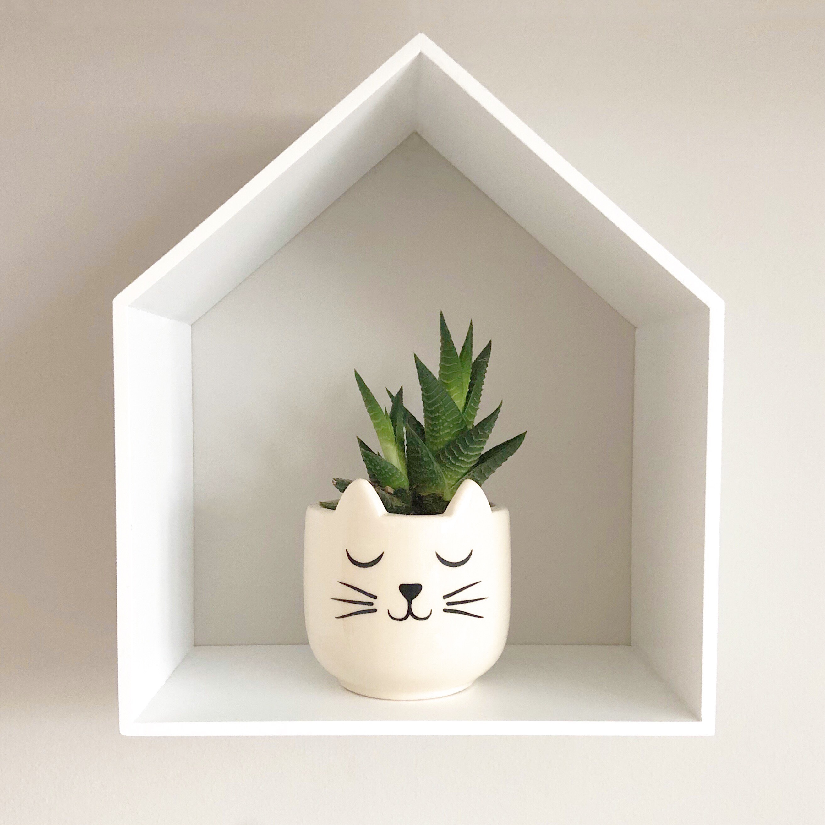 Cat planter