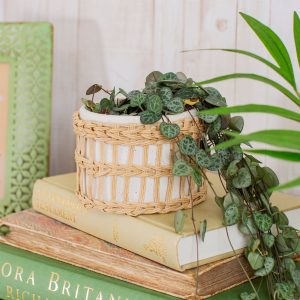 White woven planter