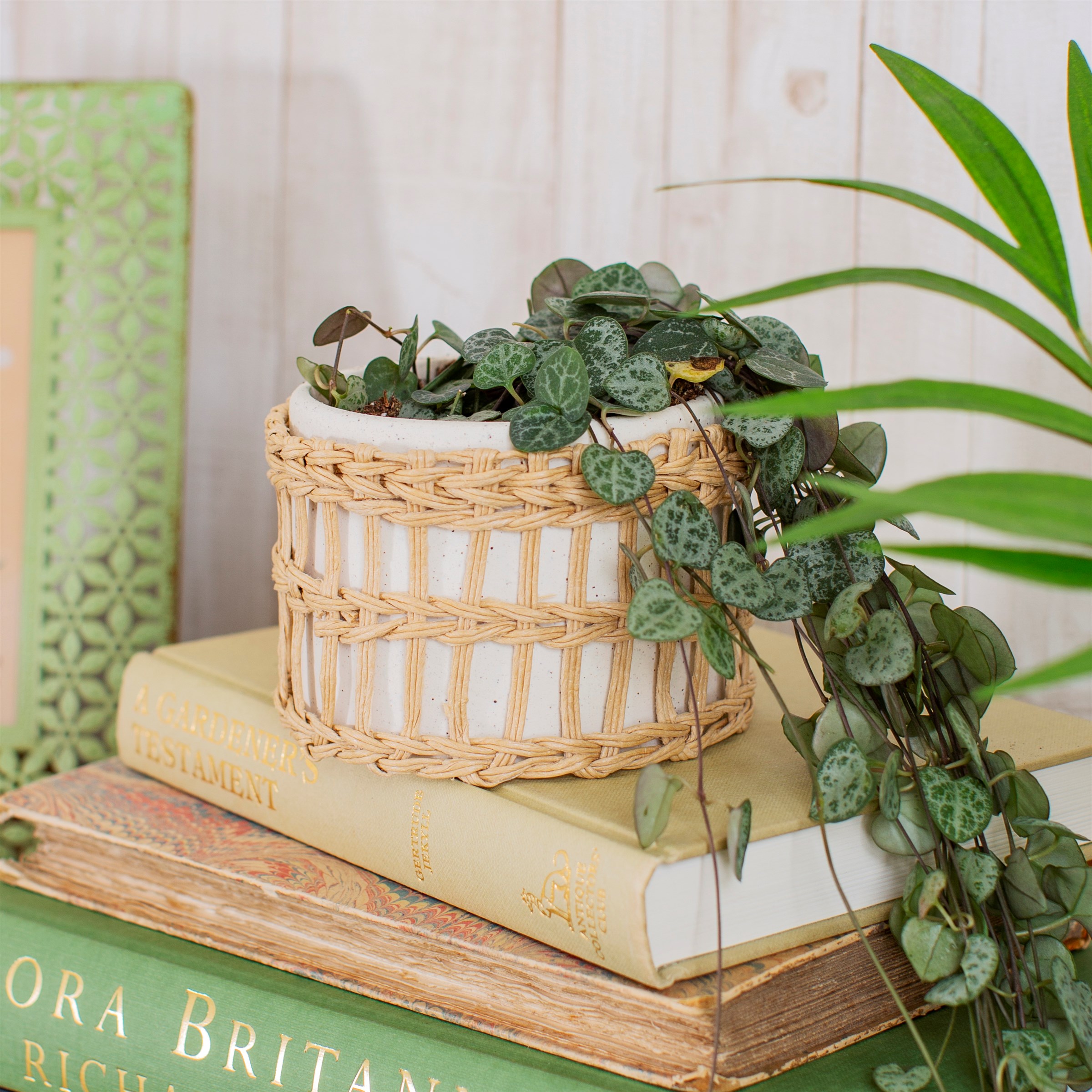 White woven planter